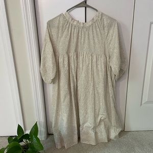 Everlane Mini Dress